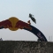 MX Motokros Dünya Þampiyonasý -6